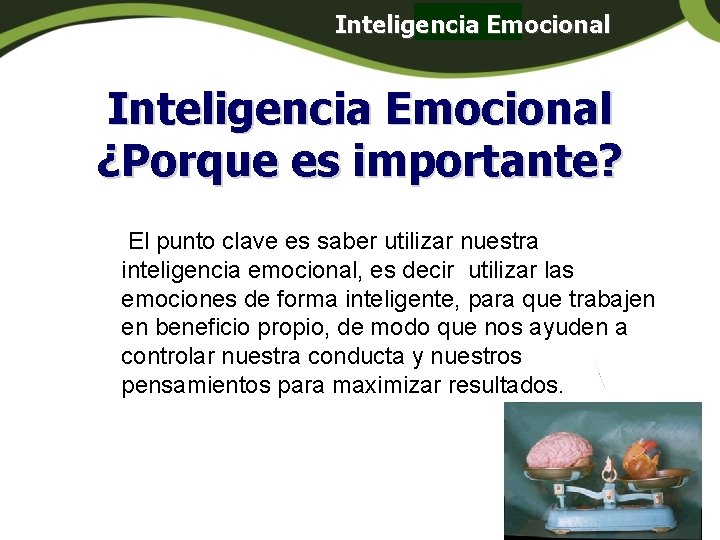 Inteligencia Emocional Panamá Inteligencia Emocional ¿Porque es importante? El punto clave es saber utilizar Inteligencia Emocional Panamá Inteligencia Emocional ¿Porque es importante? El punto clave es saber utilizar