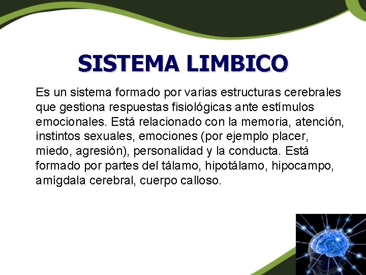 SISTEMA LIMBICO Es un sistema formado por varias estructuras cerebrales que gestiona respuestas fisiológicas SISTEMA LIMBICO Es un sistema formado por varias estructuras cerebrales que gestiona respuestas fisiológicas