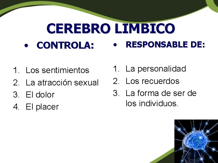 CEREBRO LIMBICO 1. 2. 3. 4. • CONTROLA: • RESPONSABLE DE: Los sentimientos La CEREBRO LIMBICO 1. 2. 3. 4. • CONTROLA: • RESPONSABLE DE: Los sentimientos La