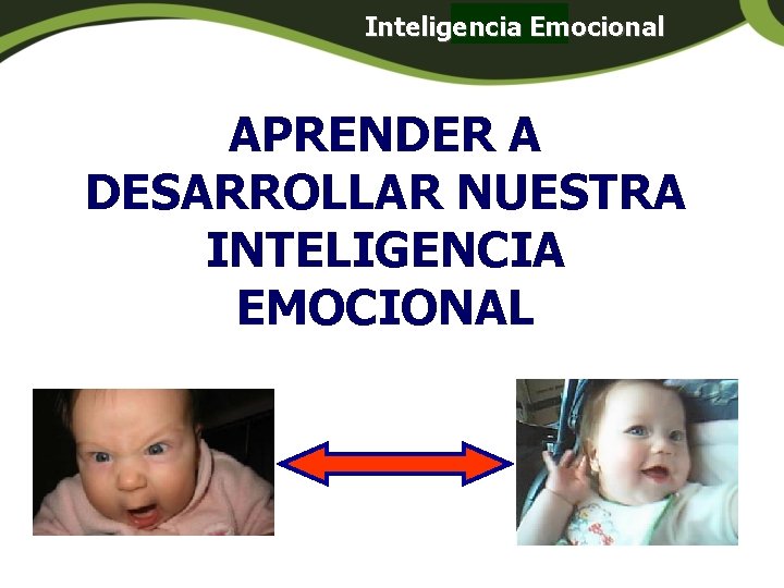 Inteligencia Emocional Panamá APRENDER A DESARROLLAR NUESTRA INTELIGENCIA EMOCIONAL Inteligencia Emocional Panamá APRENDER A DESARROLLAR NUESTRA INTELIGENCIA EMOCIONAL