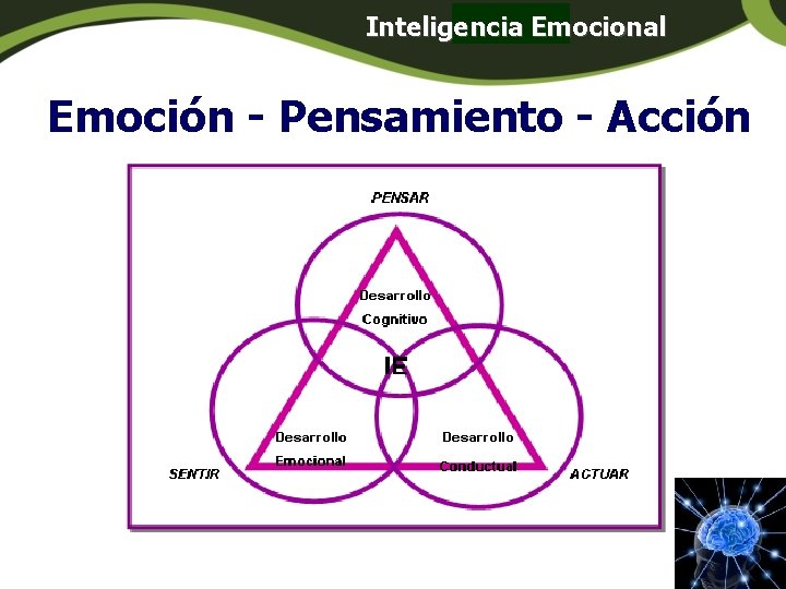 Inteligencia Emocional Panamá Emoción - Pensamiento - Acción Inteligencia Emocional Panamá Emoción - Pensamiento - Acción