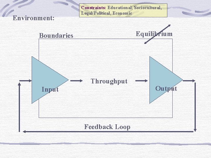 Environment: Constraints: Educational, Sociocultural, Legal/Political, Economic Equilibrium Boundaries Throughput Input Feedback Loop Output 