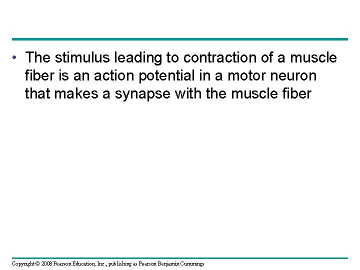  • The stimulus leading to contraction of a muscle fiber is an action