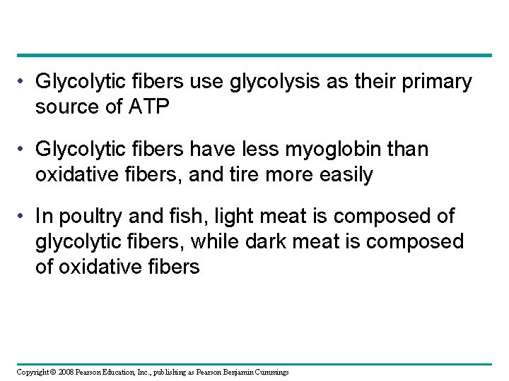  • Glycolytic fibers use glycolysis as their primary source of ATP • Glycolytic