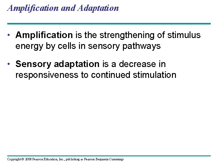 Amplification and Adaptation • Amplification is the strengthening of stimulus energy by cells in