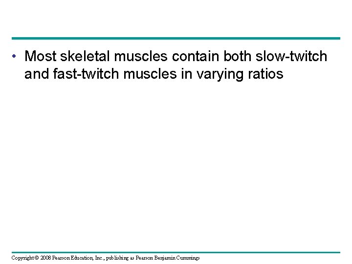  • Most skeletal muscles contain both slow-twitch and fast-twitch muscles in varying ratios