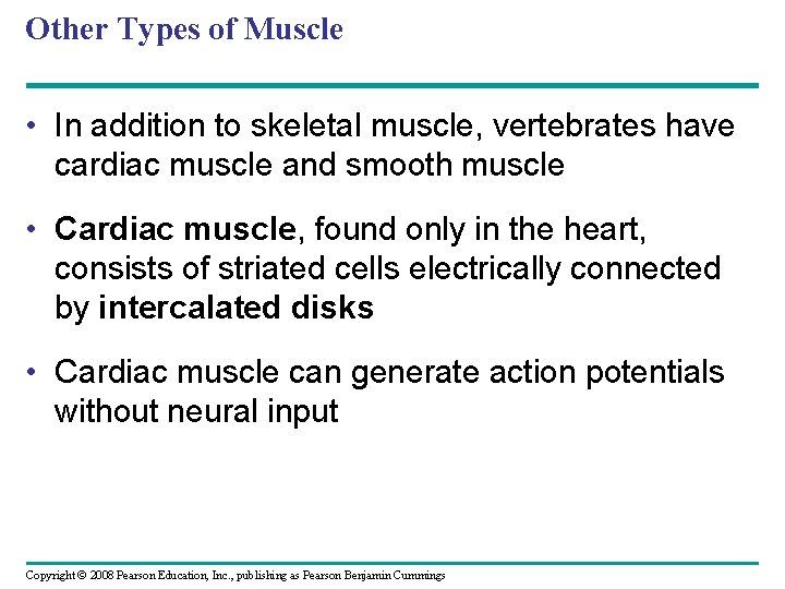 Other Types of Muscle • In addition to skeletal muscle, vertebrates have cardiac muscle