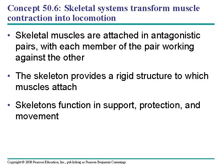 Concept 50. 6: Skeletal systems transform muscle contraction into locomotion • Skeletal muscles are