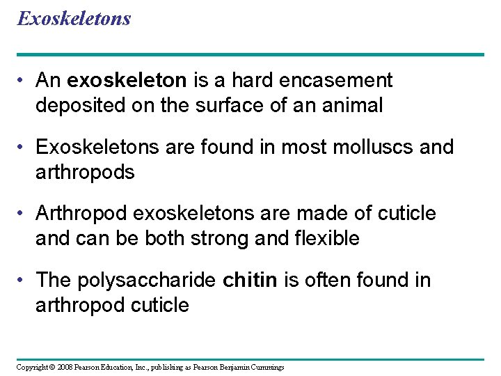 Exoskeletons • An exoskeleton is a hard encasement deposited on the surface of an