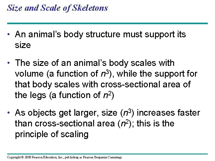 Size and Scale of Skeletons • An animal’s body structure must support its size