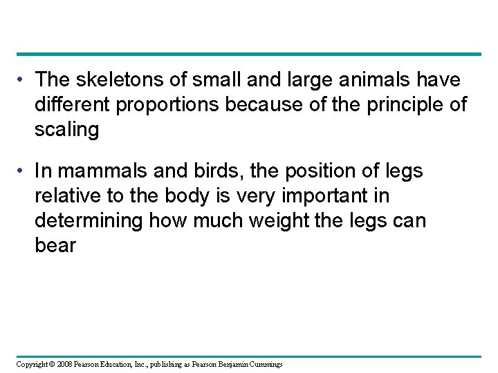  • The skeletons of small and large animals have different proportions because of