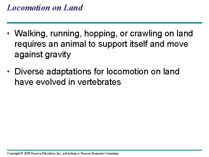 Locomotion on Land • Walking, running, hopping, or crawling on land requires an animal