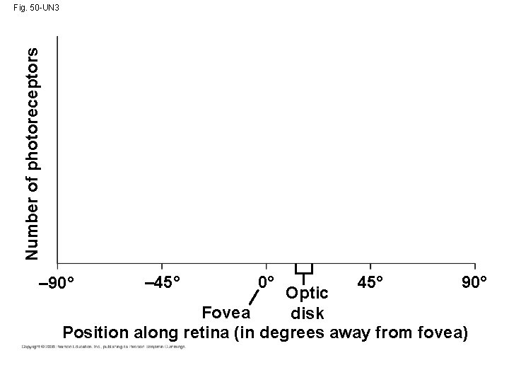 Number of photoreceptors Fig. 50 -UN 3 – 90° – 45° 0° 45° 90°