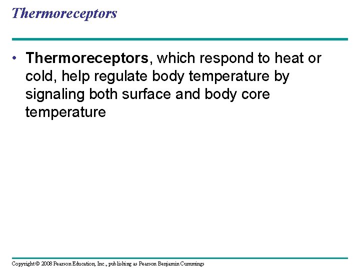 Thermoreceptors • Thermoreceptors, which respond to heat or cold, help regulate body temperature by