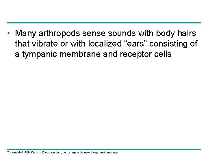  • Many arthropods sense sounds with body hairs that vibrate or with localized