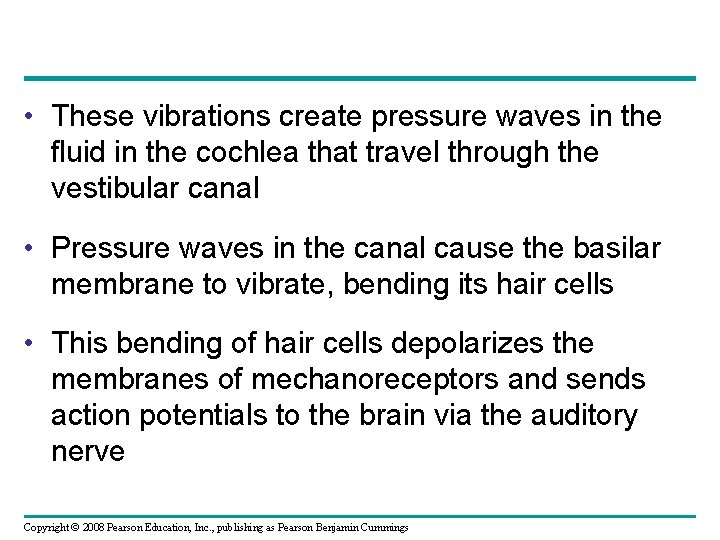  • These vibrations create pressure waves in the fluid in the cochlea that