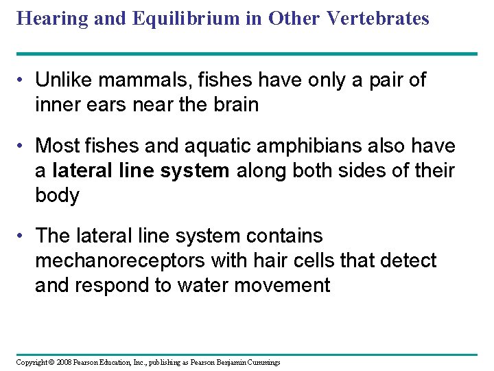 Hearing and Equilibrium in Other Vertebrates • Unlike mammals, fishes have only a pair