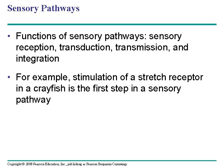 Sensory Pathways • Functions of sensory pathways: sensory reception, transduction, transmission, and integration •