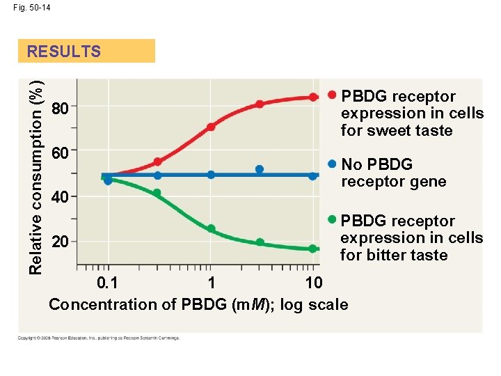 Fig. 50 -14 Relative consumption (%) RESULTS 80 60 40 20 PBDG receptor expression