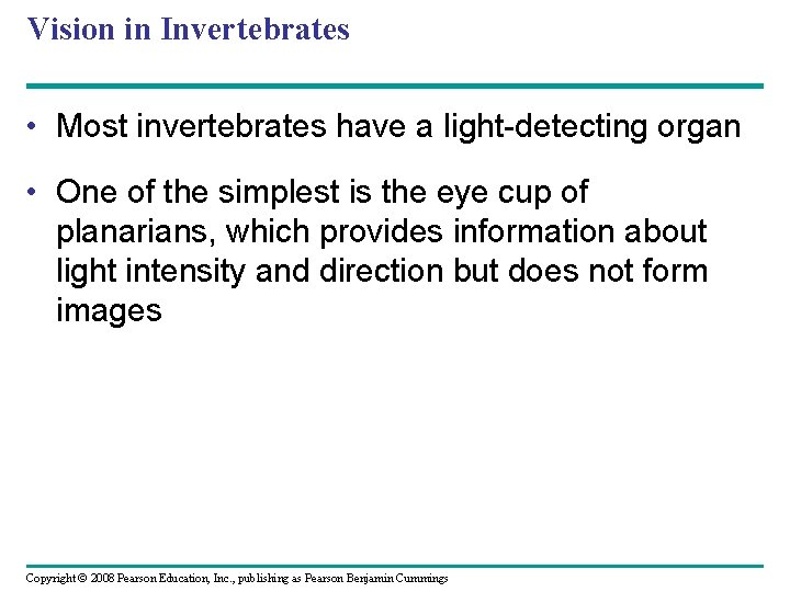 Vision in Invertebrates • Most invertebrates have a light-detecting organ • One of the
