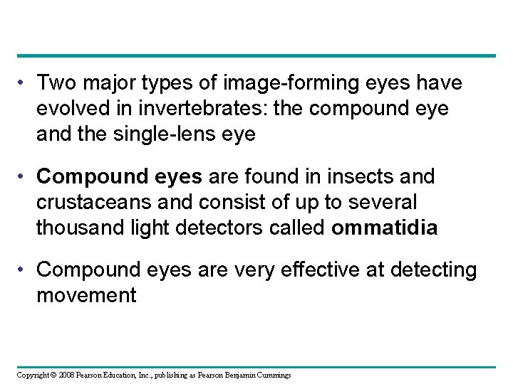  • Two major types of image-forming eyes have evolved in invertebrates: the compound