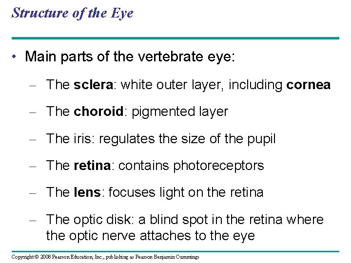 Structure of the Eye • Main parts of the vertebrate eye: – The sclera: