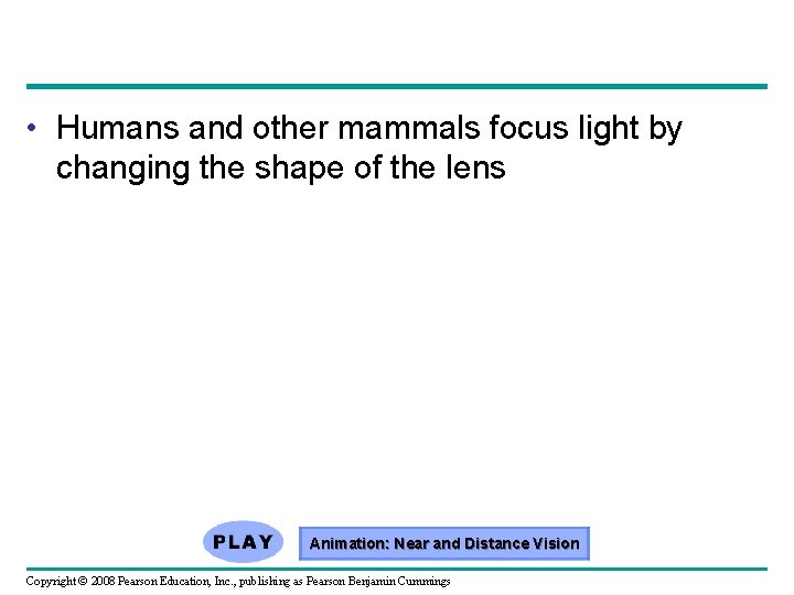  • Humans and other mammals focus light by changing the shape of the