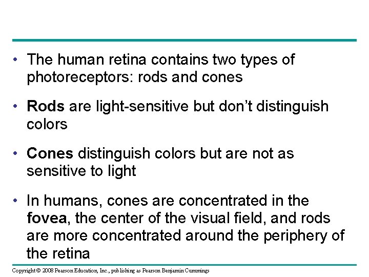  • The human retina contains two types of photoreceptors: rods and cones •