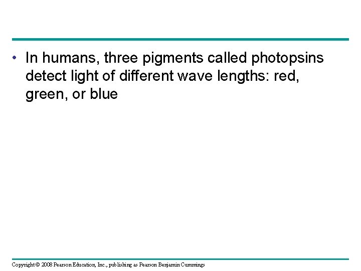  • In humans, three pigments called photopsins detect light of different wave lengths: