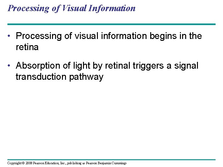 Processing of Visual Information • Processing of visual information begins in the retina •