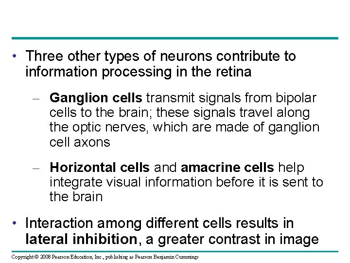  • Three other types of neurons contribute to information processing in the retina