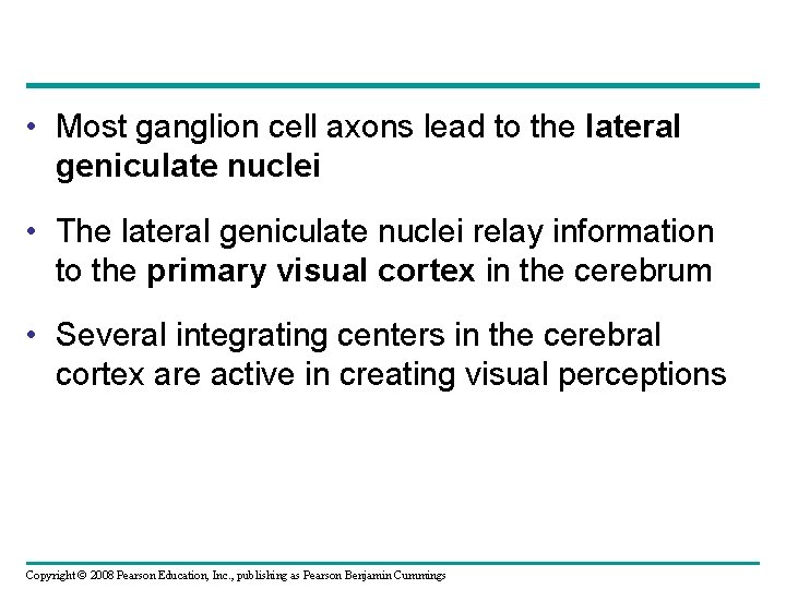  • Most ganglion cell axons lead to the lateral geniculate nuclei • The