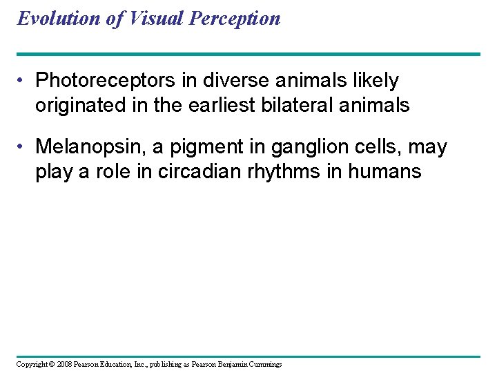 Evolution of Visual Perception • Photoreceptors in diverse animals likely originated in the earliest