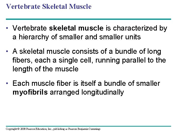 Vertebrate Skeletal Muscle • Vertebrate skeletal muscle is characterized by a hierarchy of smaller