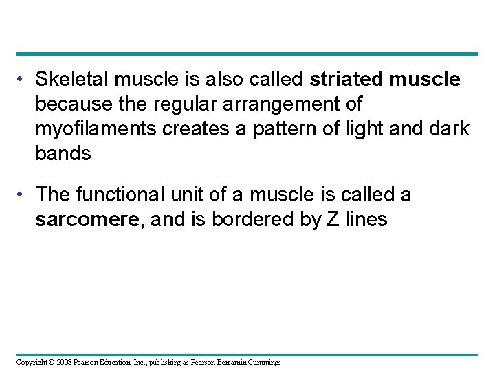  • Skeletal muscle is also called striated muscle because the regular arrangement of