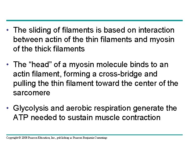  • The sliding of filaments is based on interaction between actin of the