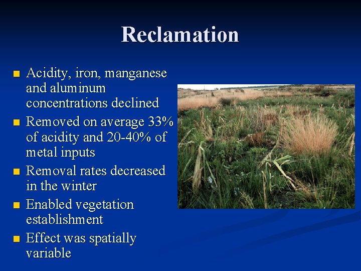 Reclamation n n Acidity, iron, manganese and aluminum concentrations declined Removed on average 33%