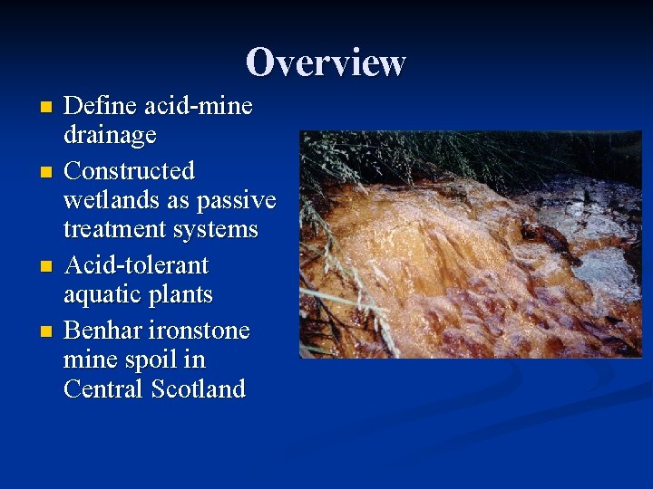 Overview n n Define acid-mine drainage Constructed wetlands as passive treatment systems Acid-tolerant aquatic