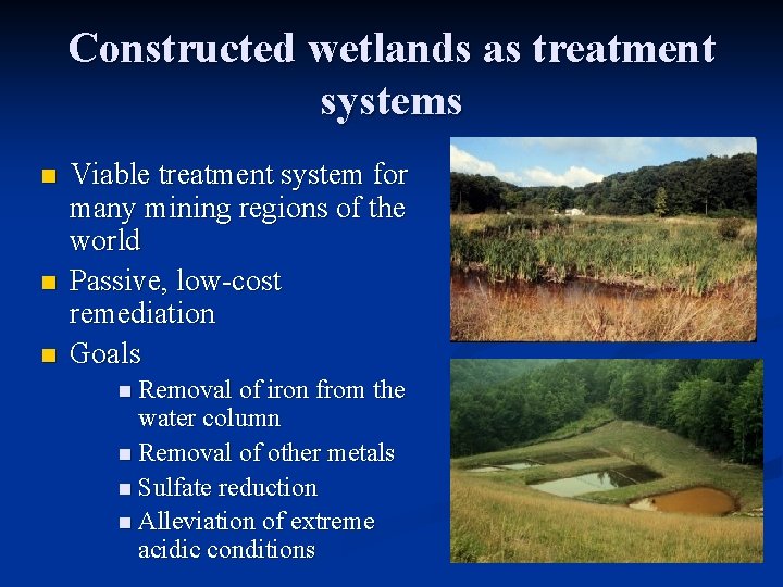 Constructed wetlands as treatment systems n n n Viable treatment system for many mining