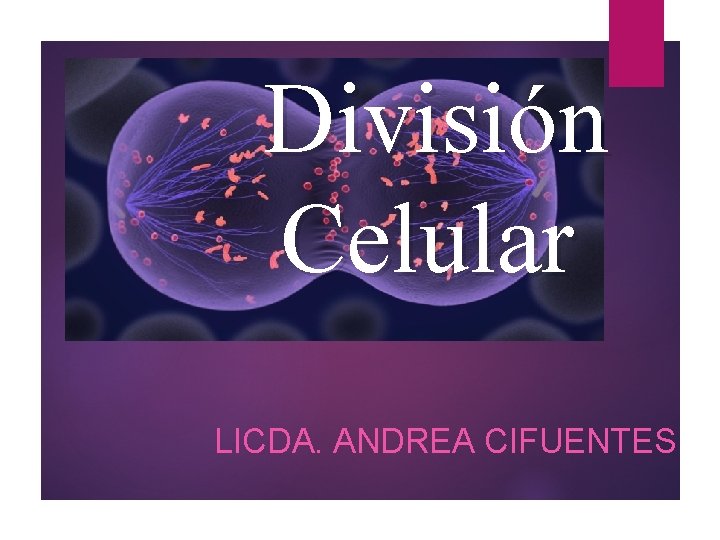 División Celular LICDA. ANDREA CIFUENTES 