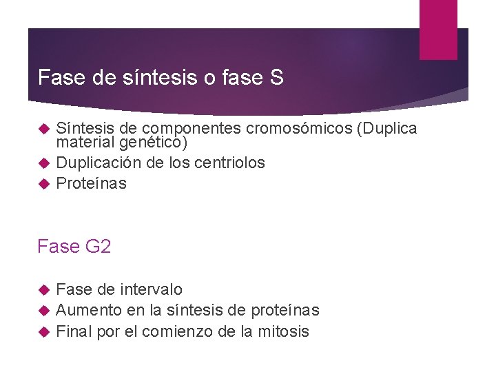 Fase de síntesis o fase S Síntesis de componentes cromosómicos (Duplica material genético) Duplicación