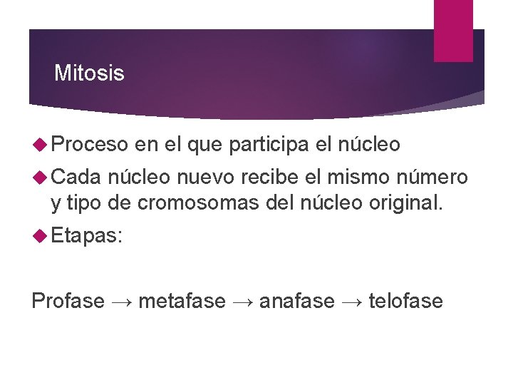 Mitosis Proceso en el que participa el núcleo Cada núcleo nuevo recibe el mismo