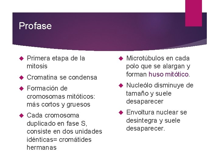 Profase Primera etapa de la mitosis Microtúbulos en cada polo que se alargan y