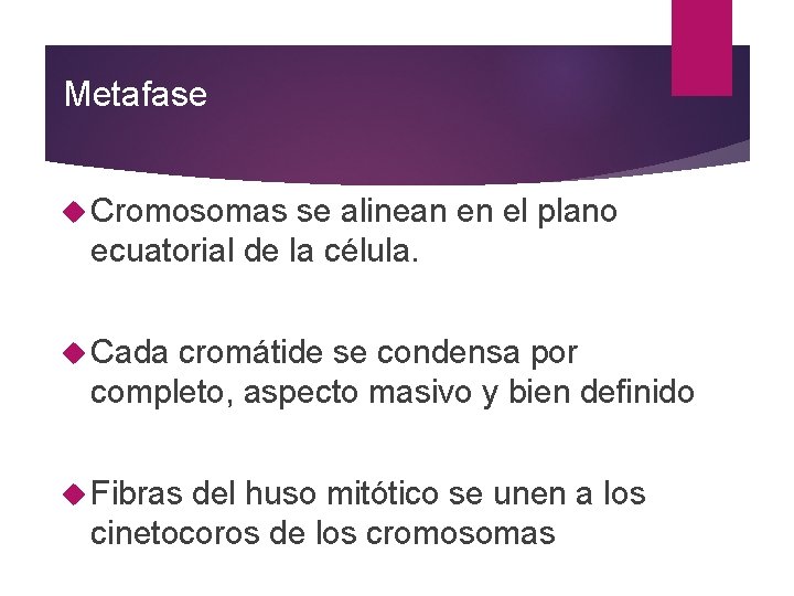 Metafase Cromosomas se alinean en el plano ecuatorial de la célula. Cada cromátide se