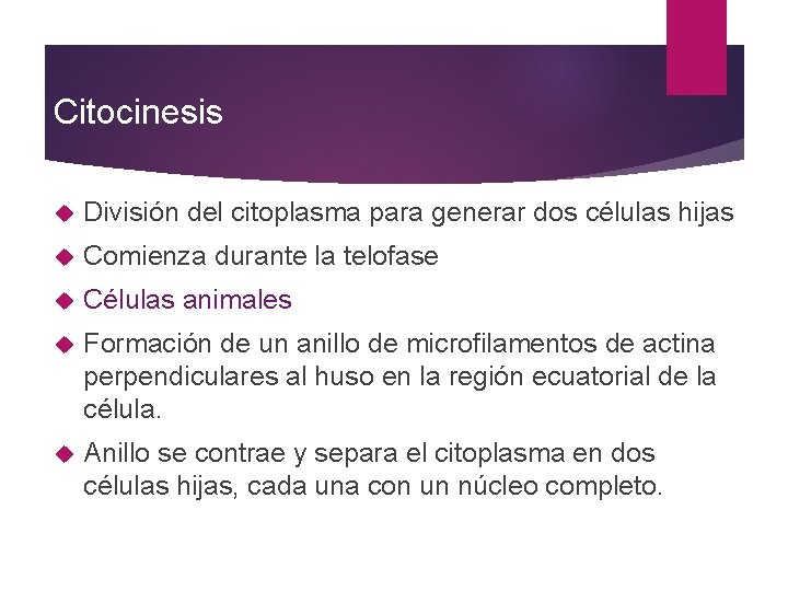Citocinesis División del citoplasma para generar dos células hijas Comienza durante la telofase Células