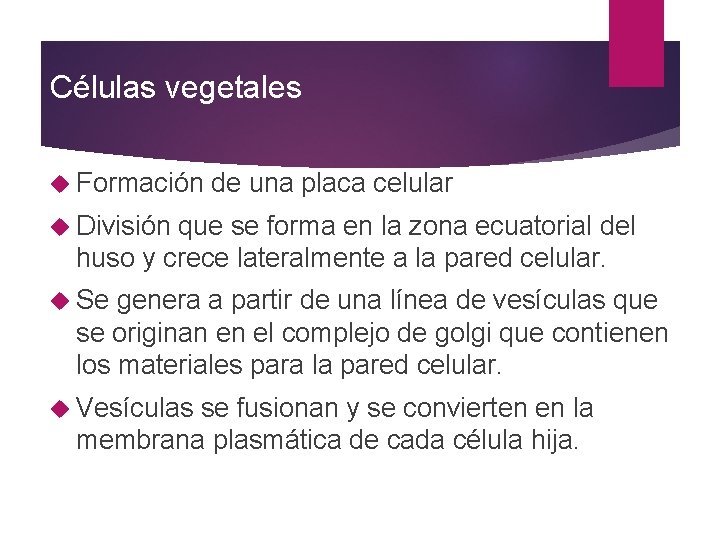 Células vegetales Formación de una placa celular División que se forma en la zona