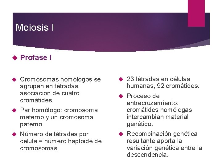 Meiosis I Profase I Cromosomas homólogos se agrupan en tétradas: asociación de cuatro cromátides.