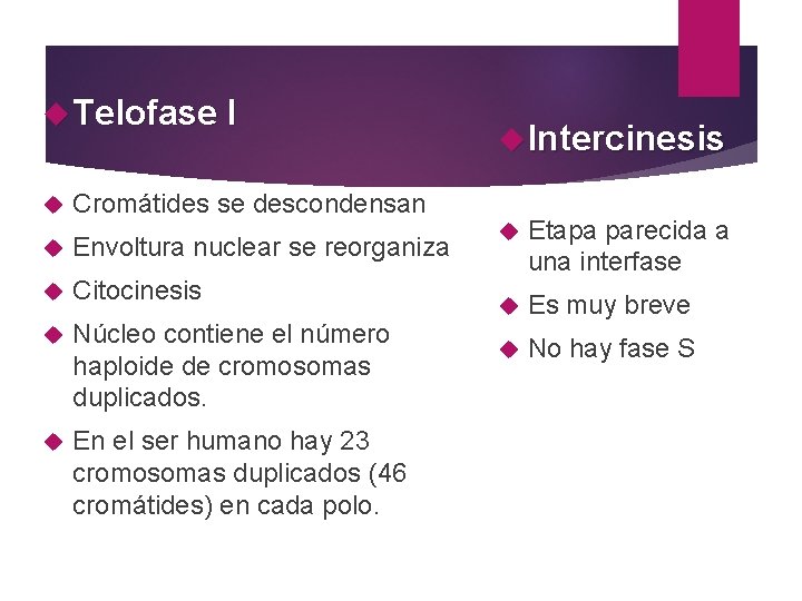  Telofase I Intercinesis Cromátides se descondensan Envoltura nuclear se reorganiza Citocinesis Núcleo contiene