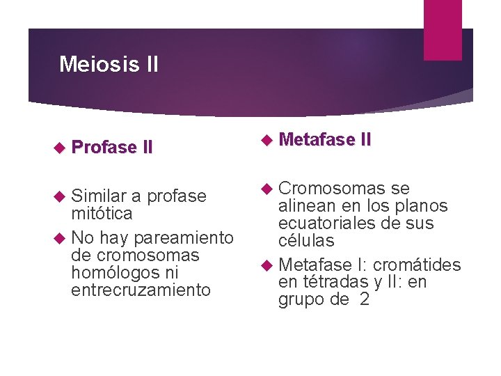 Meiosis II Profase II Similar a profase mitótica No hay pareamiento de cromosomas homólogos