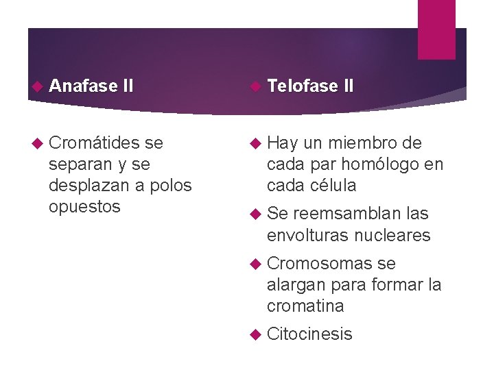  Anafase II Telofase II Cromátides Hay se separan y se desplazan a polos